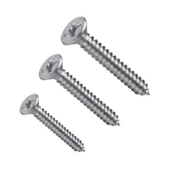 SS Screws